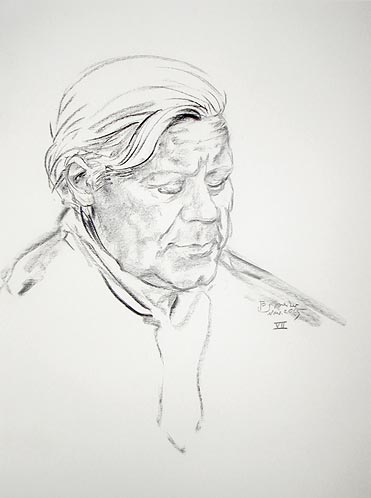 Helmut Schmidt: Helmut Schmidt VII