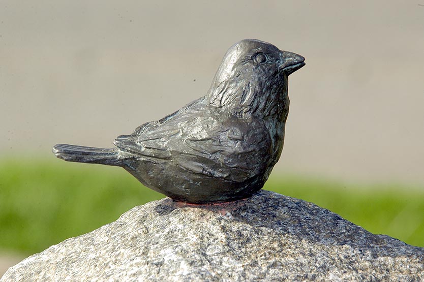 Kreisverkehre: Der Spatz